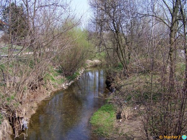 Rzeka Wilga