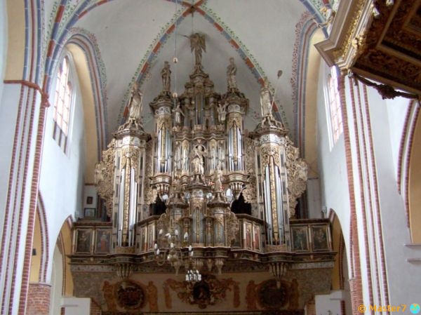 Zabytkowe organy - katedra