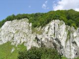 Dolina Prądnika - skały